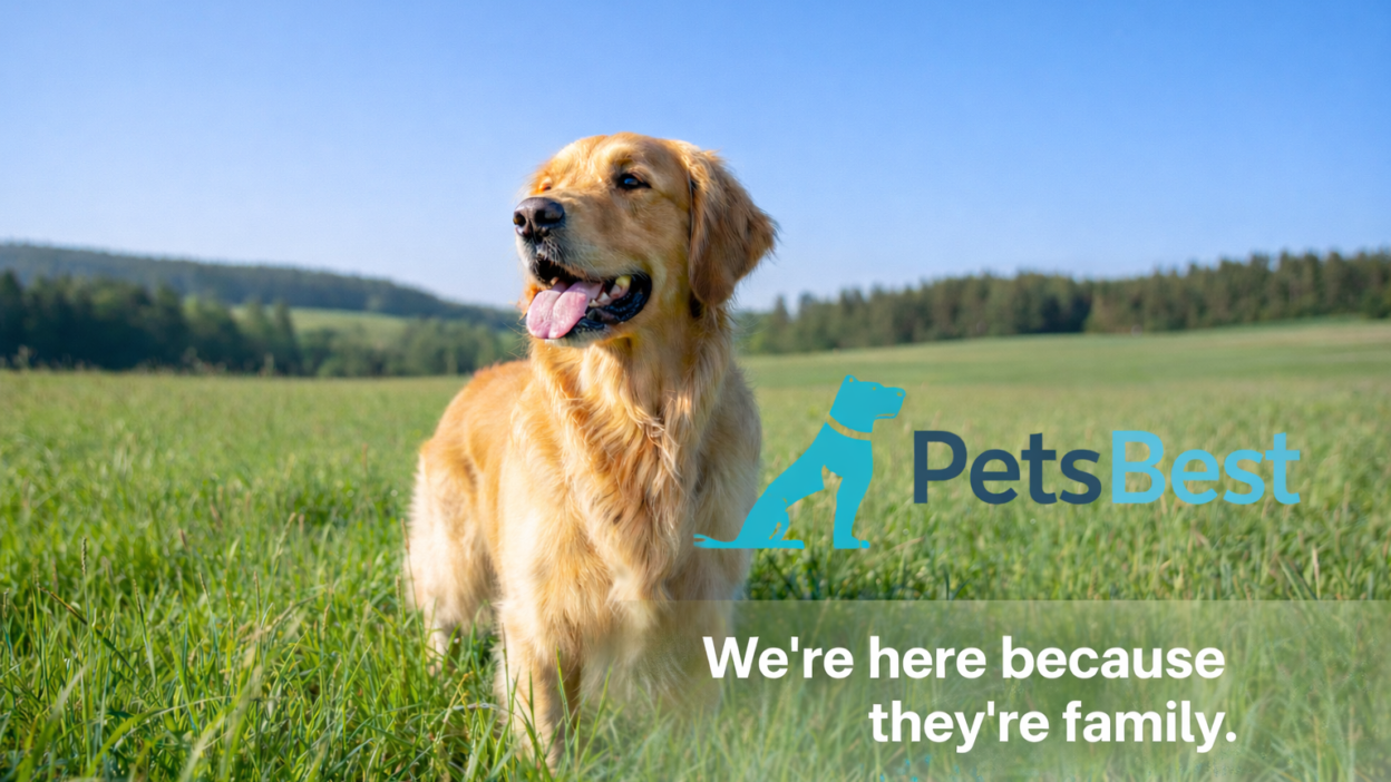 Pets Best
